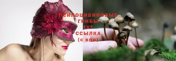 каннабис Гусев
