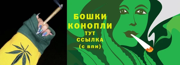 твердый Гусиноозёрск
